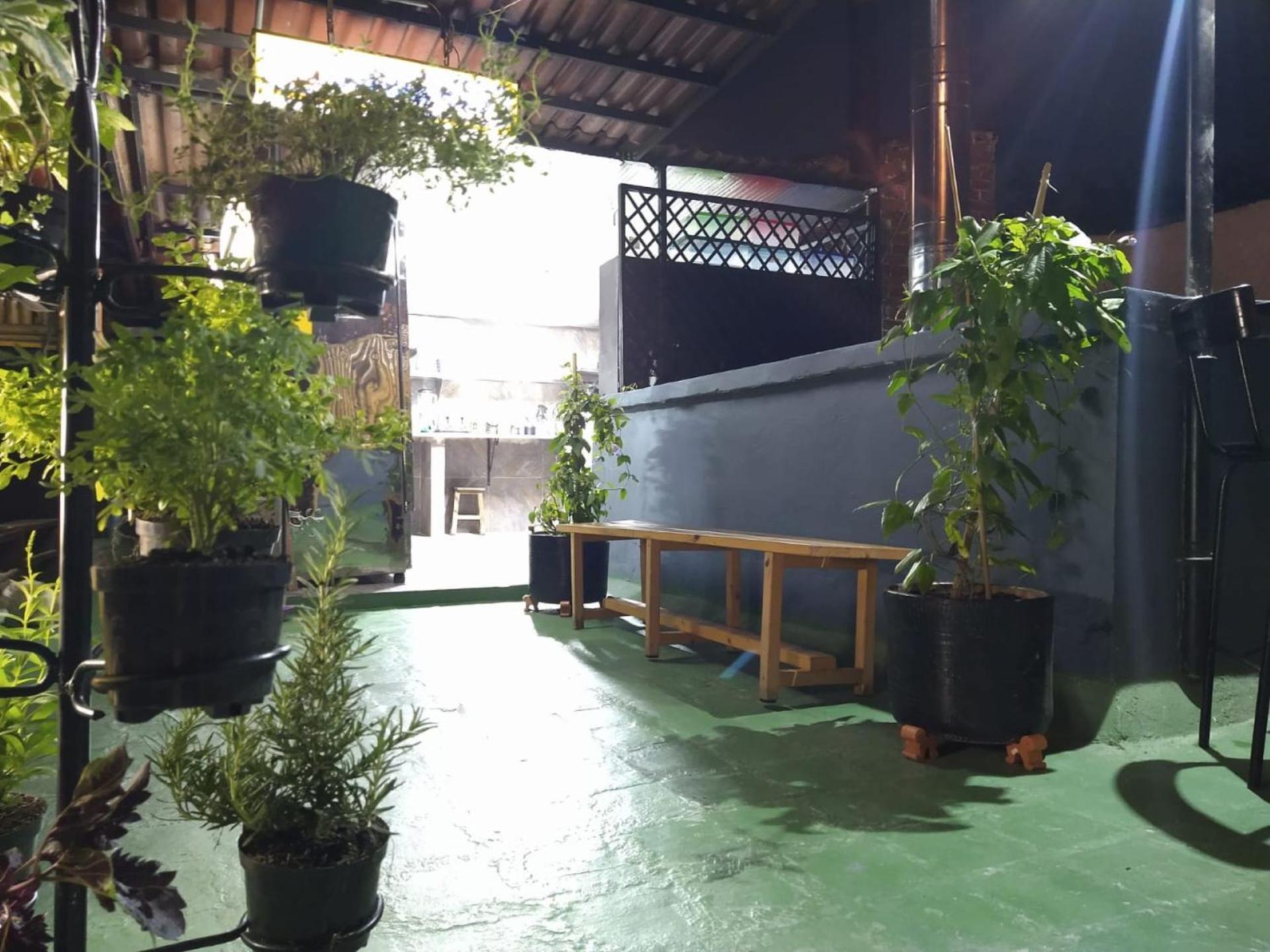 Hostal The Sugar Cane *